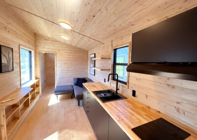 Scandinavian Tiny House ADU