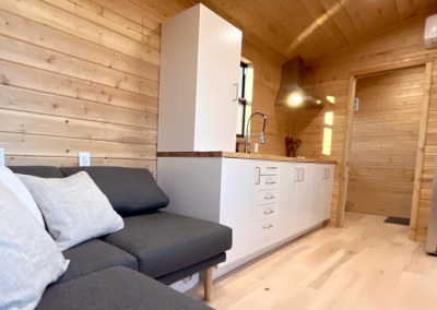 Scandinavian Tiny House ADU